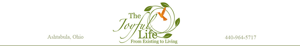 The Joyful Life From Existing to Living